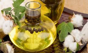 Cottonseed Oil Market Outlook: Stability Amidst Changing Sewing Patterns