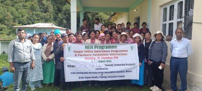 VL Mandua 376: Higher Yield, Less Time for Tawang Farmers