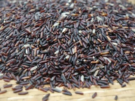 Tripura’s Ethnic Rice Makes Global Debut with Export to Austria, Netherlands
