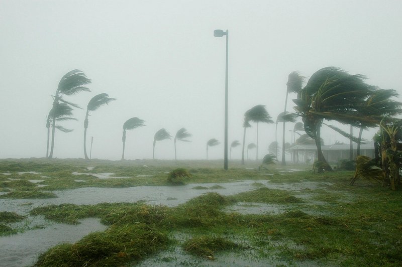 Cyclone Arnab to Hit Andhra Coast on Oct 28; Crops, Orchards at Risk