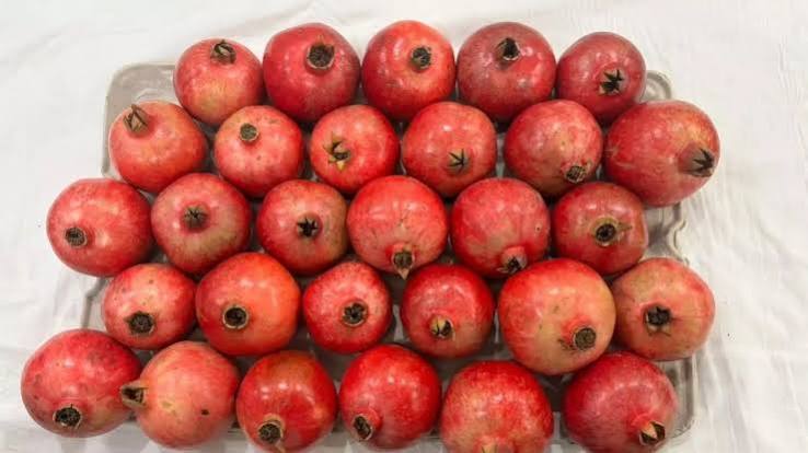 From Kullu to Dubai: Himachal Pradesh’s Sinduri Pomegranates Reach Global Markets
