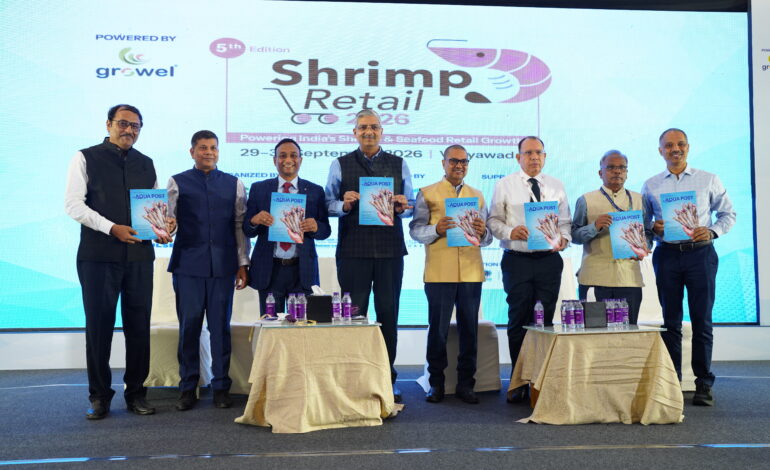 Shrimp Retail 2026